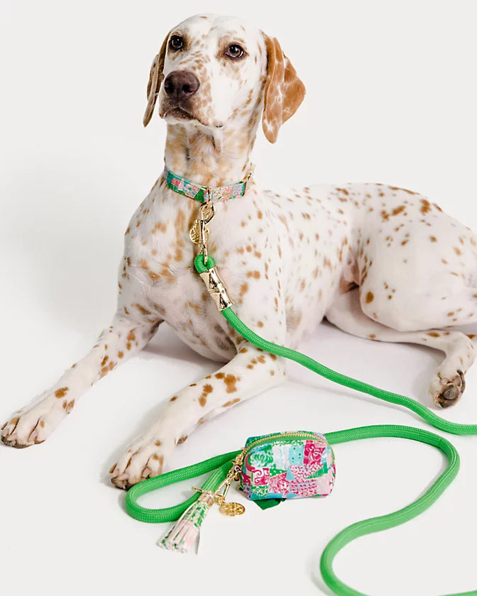 Pet Leash - Multi Crazy Quilt