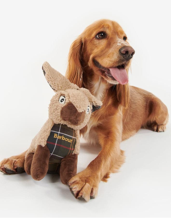 RABBIT DOG TOY