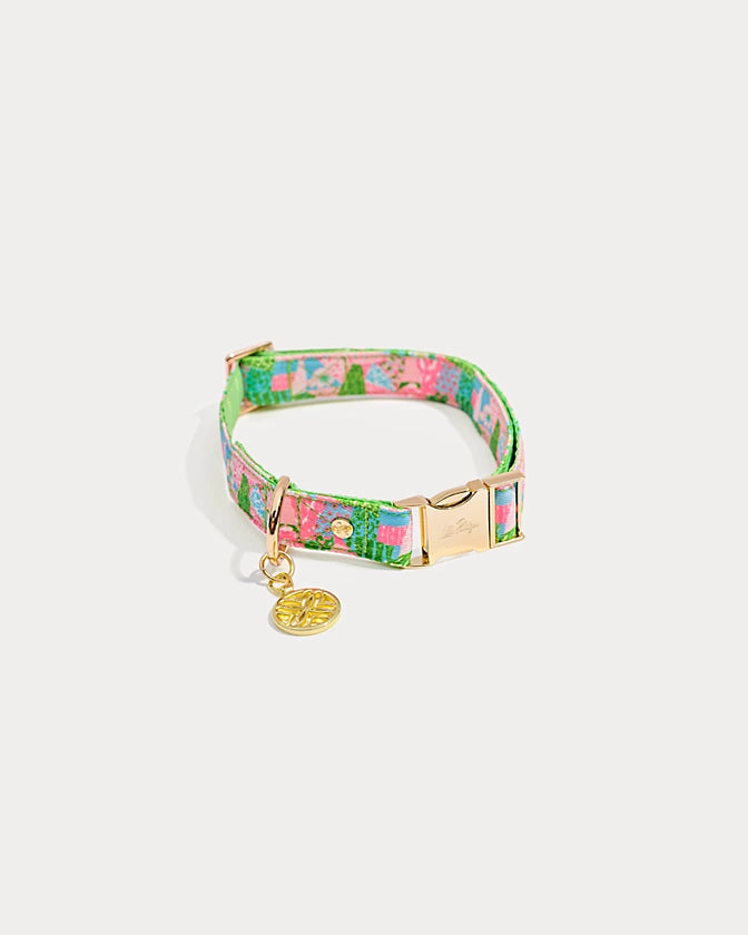 Small/Medium Pet Collar - Multi Crazy Quilt