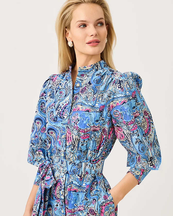 DRENA MIDI DRESS - MULTI - PAISLEY PARADE ENGINEERED WOVEN SHIRTDRESS