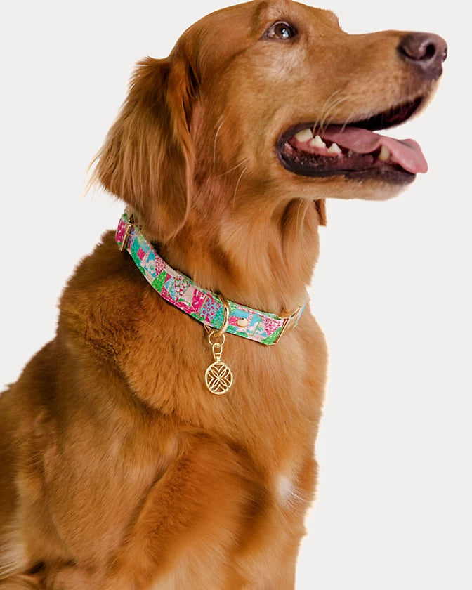 Large/X-Large Pet Collar - Multi Crazy Quilt