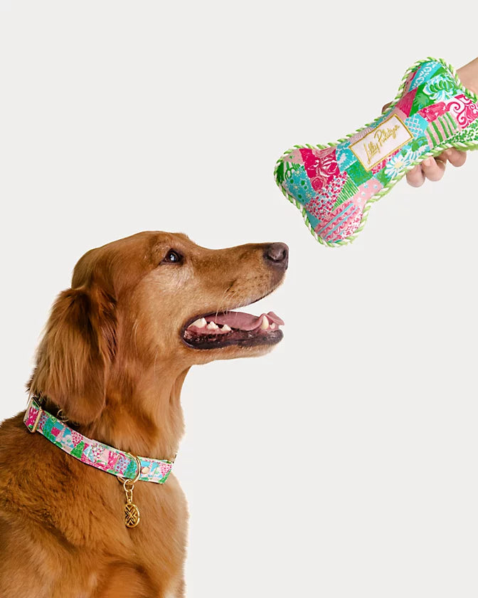 Pet Toy - Multi Crazy Quilt
