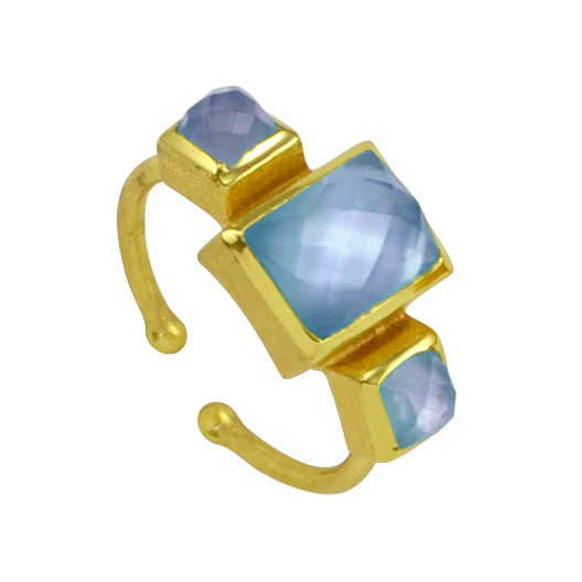 CORINE RING