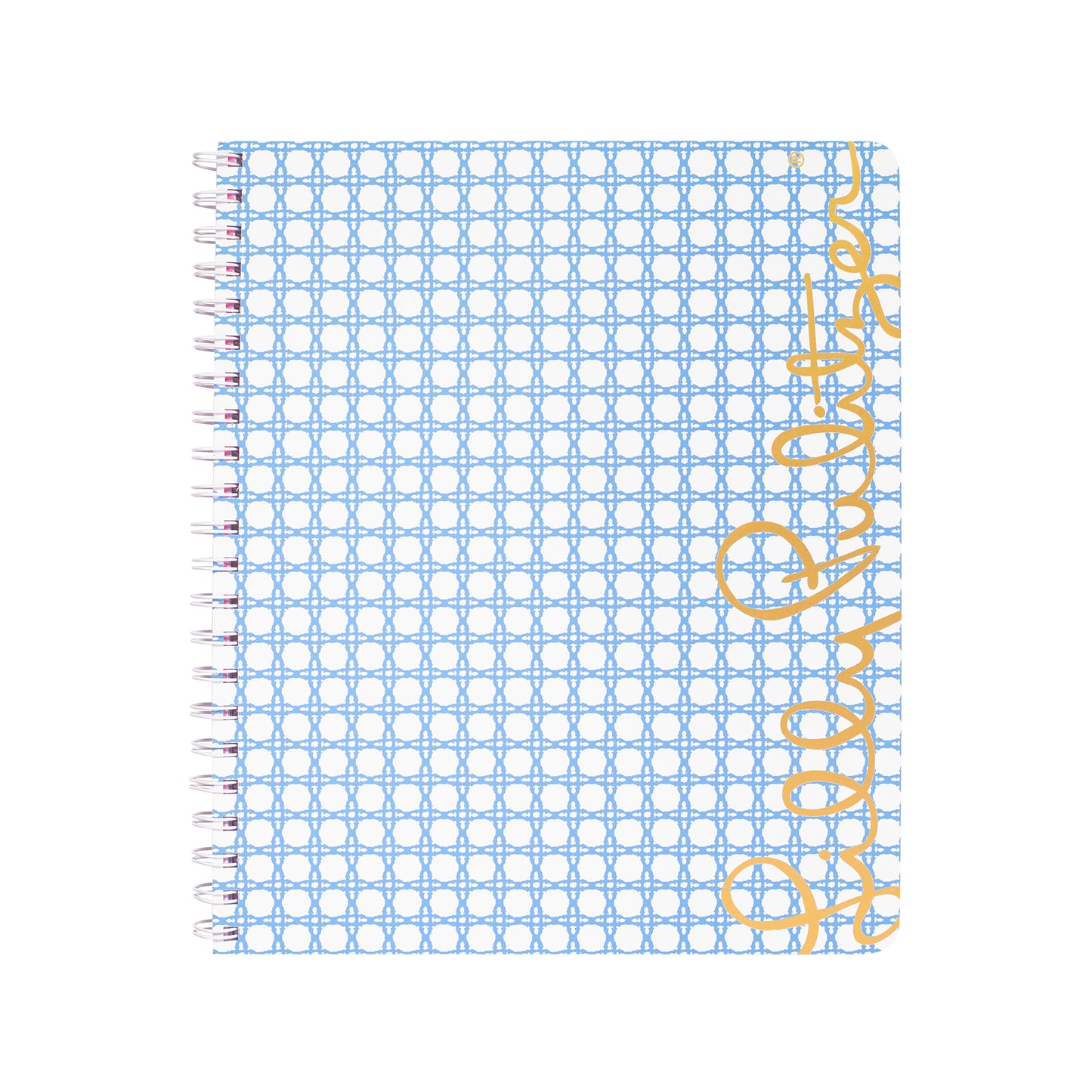 LARGE NOTEBOOK- GOLD CANING