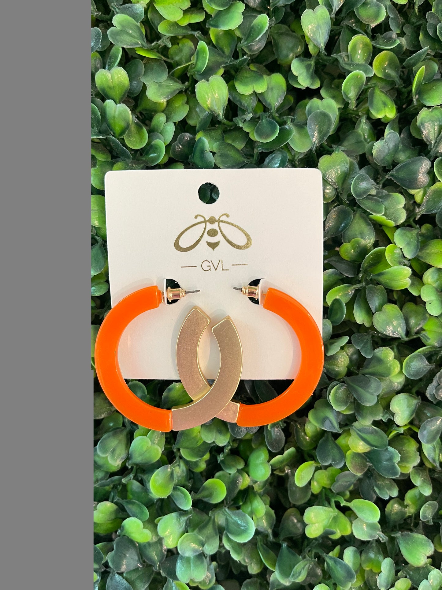 LORI HOOPS